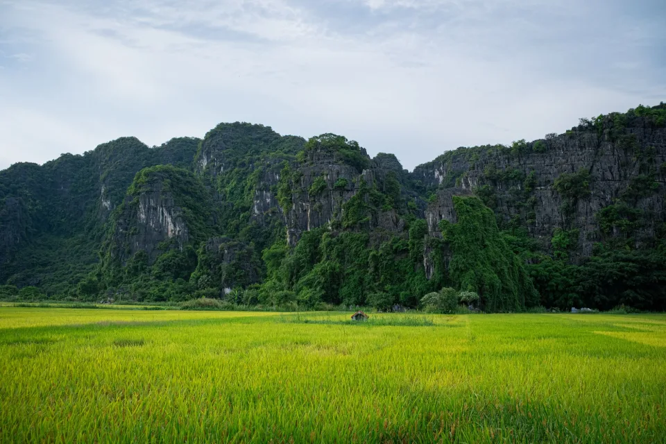 Kho gạo của Nguyễn Thị Hiền Giang